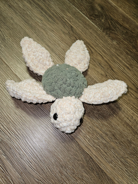 Pet Sea Turtle
